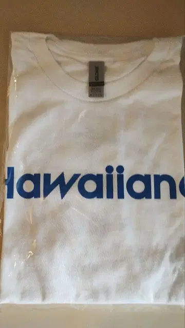 HAWAIIAN6 T셔츠 XL
