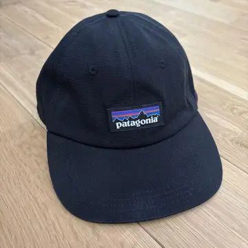 patagonia 블랙 야구 모자