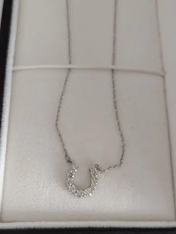 에스테르 다이아 목걸이