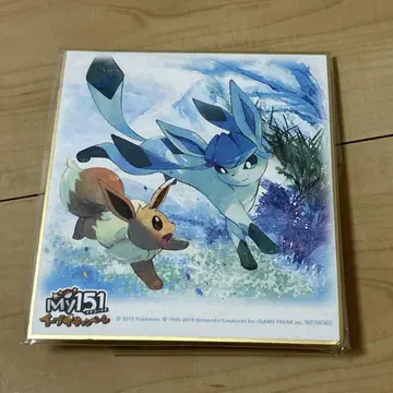My151 이브이 캠페인 색지 글레이시아