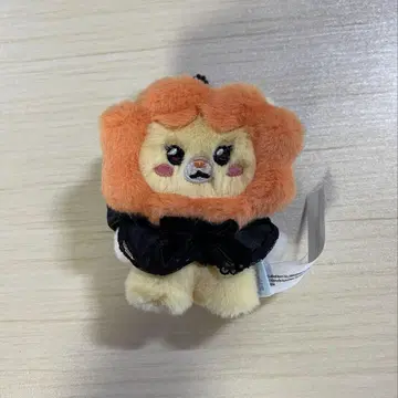 i-dle We are 팝업 봉제 인형 소연 새상품급 한국 아이들
