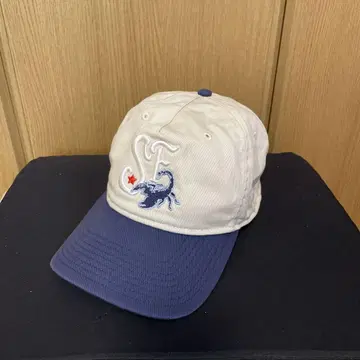 조던 프로 x 솔 플라이 캡