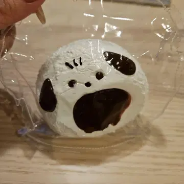 스퀴즈 쪼물쪼물 포차코