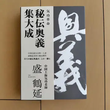 기공 혁명 비전 오의 집대성