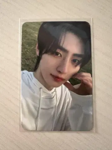 enhypen dark blood 성훈 중화 트레이딩 카드