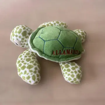 거북이 봉제 인형 ALLAMAIDA 시기라