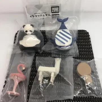 인테리어 말 테이블 편 체어 편 묶음 판매