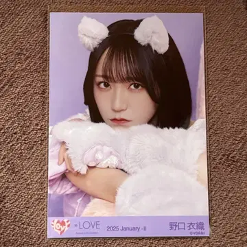노구치 이오리 브로마이드 고양이 의상