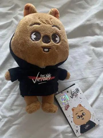 THE VICTORY straykids 한