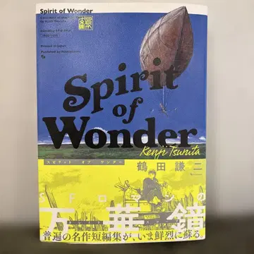 Spirit of Wonder