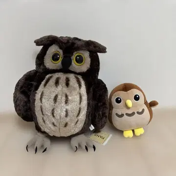 올빼미 봉제 인형 세트