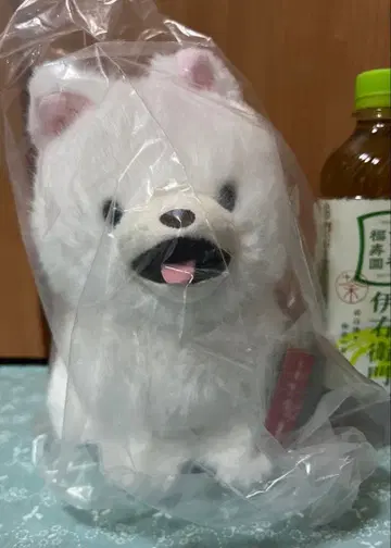 빛나는! 게이밍 포메라니안 봉제 인형