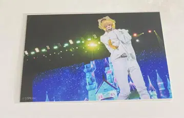 스토푸리 브로마이드 STPR Family EXPO!! expo 루토군