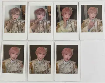 팬더드래곤 타이거 하피카