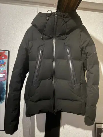 DESCENTE ALLTERRAIN 미즈사와 다운 MOUNTAINEER