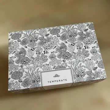 TEMPERATE 로퍼 40