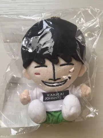 사노 마사야 치비 누이
