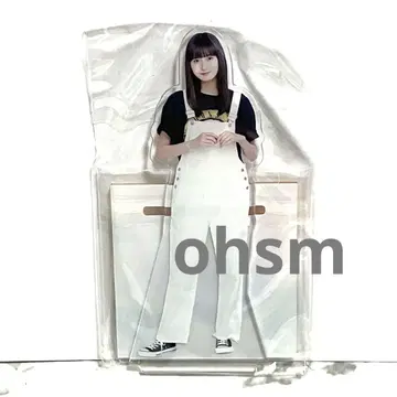 노기자카46 한정품 엔도 사쿠라 아크릴 스탠드