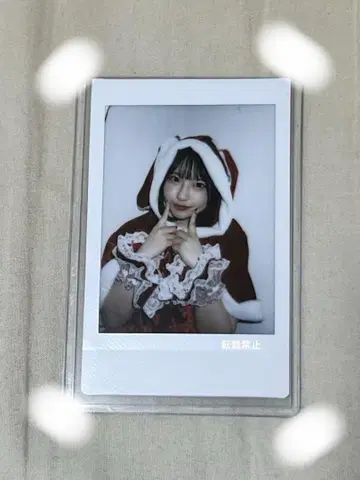 사쿠라바 하루카 크리스마스 란 폴라로이드