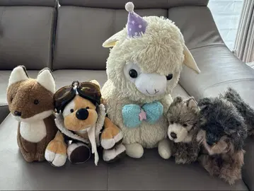 봉제 인형 5개 세트