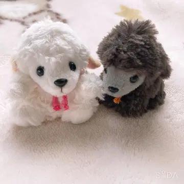 토이 푸들 봉제 인형 2세트