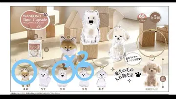 강아지의 타임캡슐