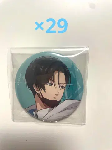 블루 록 이토시 린 택티컬 캔뱃지 묶음 판매