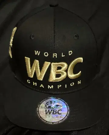 WBC 복싱 챔피온 캡 이노우에 나오야 나카타니 준토