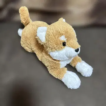 봉제 인형 시바견 무릎 강아지 브라운 시바견 강아지 사이즈