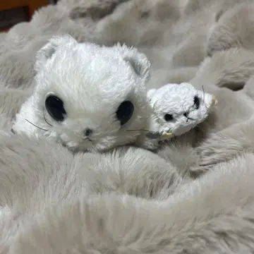 모몽가 봉제 인형 날다람쥐 리얼