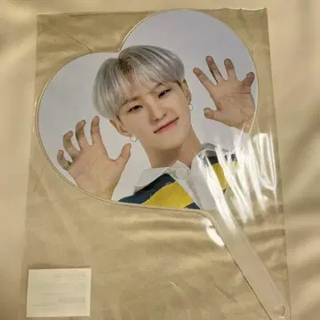 SEVENTEEN 호시 2020 Carat land 부채