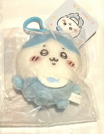 Chiikawa Baby 치이카와 (먼작귀) 마스코트 하치와레 baby