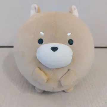 흉내내기 유루말 베이지