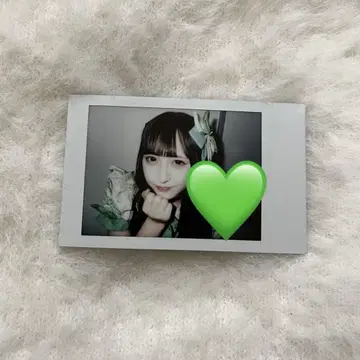 iLiFE! 와카바노아 란체키
