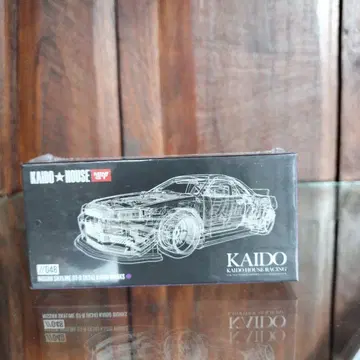 KAIDO HOUSE GT-R(R34)Kaido Works V1