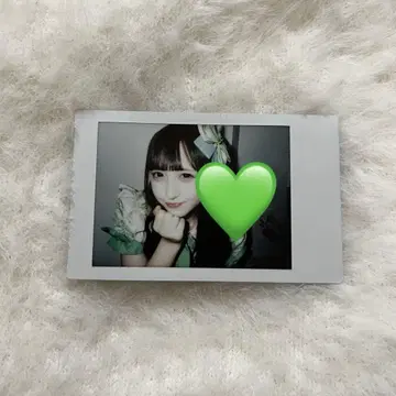 iLiFE! 와카바노아 란폴라로이드