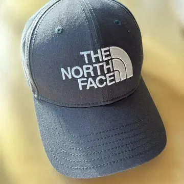 THE NORTH FACE 카키 캡