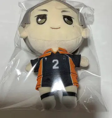 하이큐!! 오테모치 봉제 인형 스가와라 코시