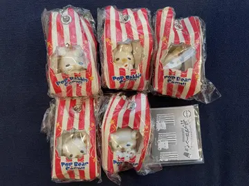 팝콘 곰 전 5종 풀 컴플리트