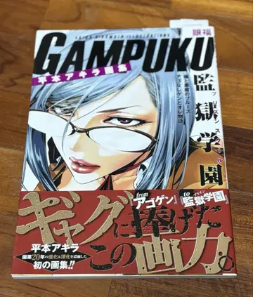 히라모토 아키라 화집 GAMPUKU 안복 특전 포스터 포함 새상품급