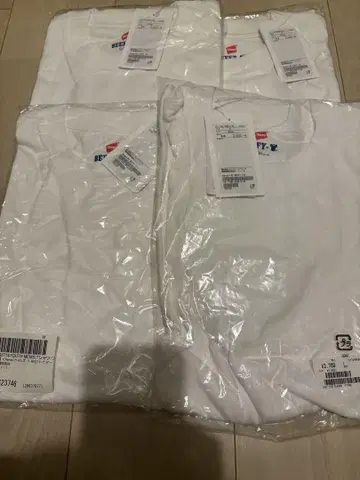 Hanes BEEFY T-SHIRT 헤인즈 비피 티셔츠 4장