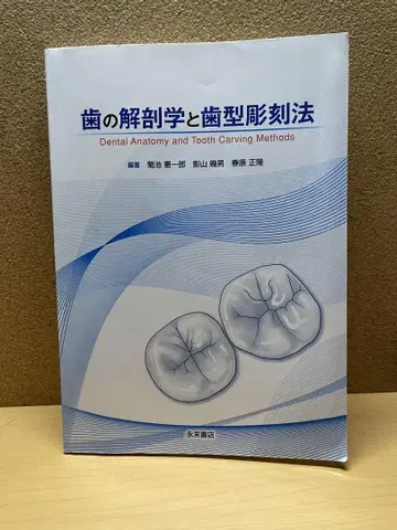 치아 해부학과 치아 조각법