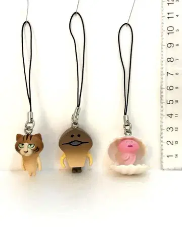 만지면 탐정 버섯 재배 키트 3개 스트랩 세트