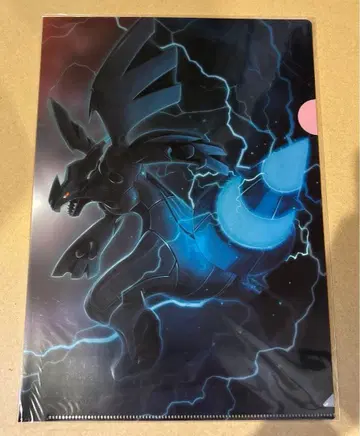 포켓몬 블랙과 화이트의 공방 클리어 파일