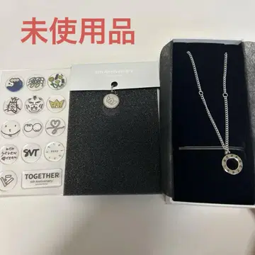 세븐틴 6주년 기념 목걸이 원우 참 포함