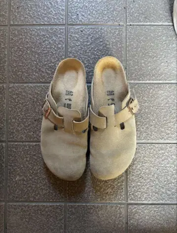 birkenstock 베이지 스웨이드 사보 샌들