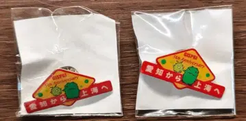 지구산업문화연구소 GISPRI 5th Anniversary 배지 2개
