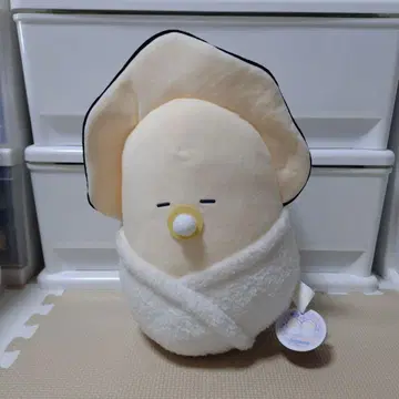 동그란 눈의 생굴