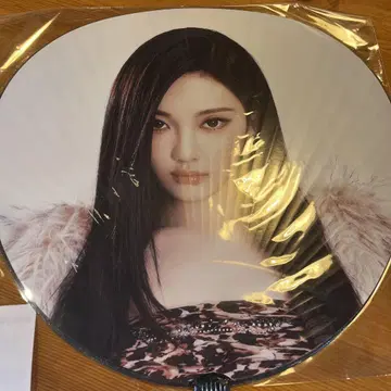 aespa 2025 SYNK : aeXIS LINE 닝닝 부채