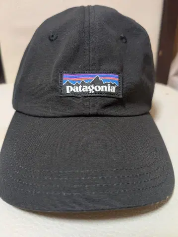 patagonia 블랙 캡